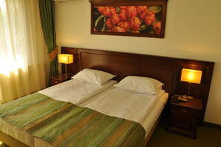 Отель Hotel Residenz Сучава Стандартный двухместный номер с 1 кроватью-1