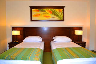 Отель Hotel Residenz Сучава Двухместный номер с 2 отдельными кроватями и балконом-1