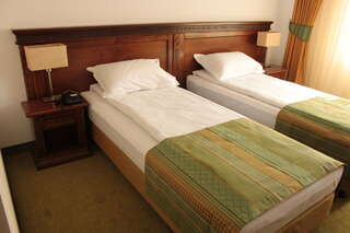 Отель Hotel Residenz Сучава Двухместный номер с 2 отдельными кроватями-3