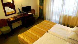 Отель Hotel Residenz Сучава Двухместный номер «Премиум» с 1 кроватью-1